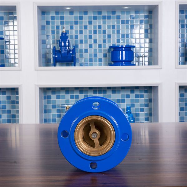 GGG40 Muffler Ductile Iron Check Valve DN65 Flange Connected Silencing Check