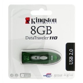 kingstion DT-110 Flash Drives