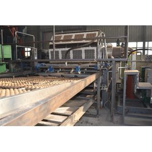 Quality Large Capacity Waste Paper Pulp Moulding Machine For Egg Packaging Carton Making for sale