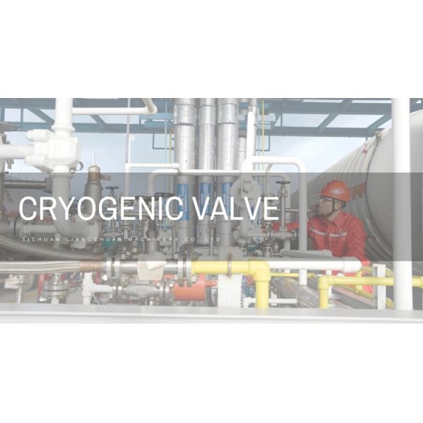 CF8 Cryogenic Check Valve