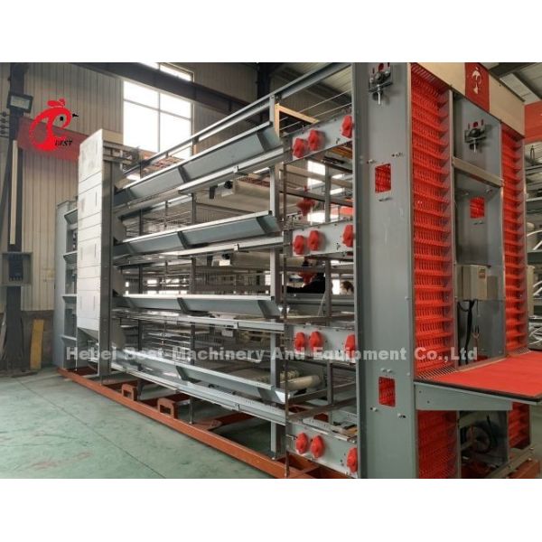 H Type 25 Years Lifespan Hot Dip Galvanized Automatic Layer Cage System Iris