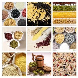 3.0L 304SUS Chicken Milk Powder Weighing Machine