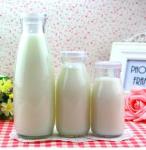 Glass Bottle Dairy Production Line , Milk Production Plant Equipment Long