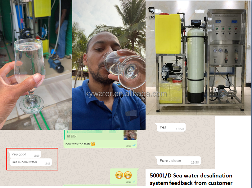 High Efficient RO Water Purifier Machine For Sea Water Desalination To Drinkable 100LPH