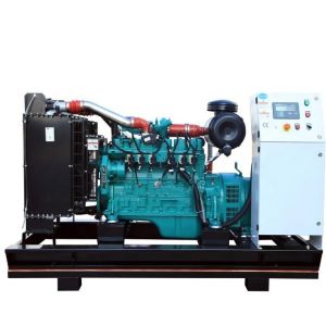 China IP23 Protection Class 60kW Natural Gas/Biogas/LPG/Syngas/Oil Gas/Coal Mine Gas Generator on sale