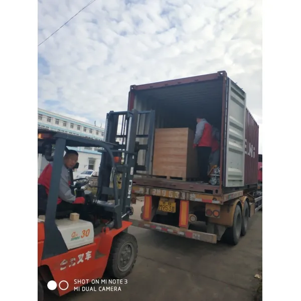 Automatic Top and Bottom Tape/Taping Flap Folding Carton/Box/ Case Sealer /Carton Sealing Machine for Packing /Packaging