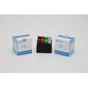 Buy cheap H1N1 Rabies Virus RT PCR Test Kit Collection IVD Super Sensitive For Hospital from wholesalers