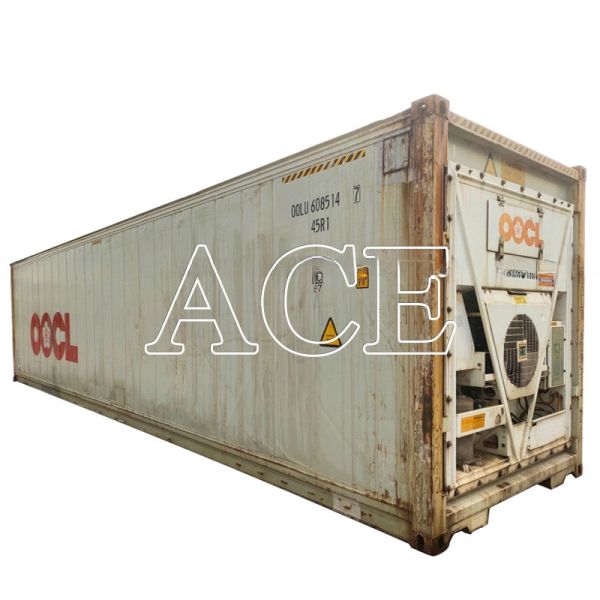 Used 20ft Refrigerated Reefer Cargo Container with External Dimensions 6058 x