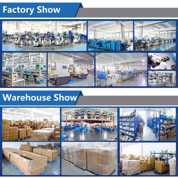 Brushless DC BLDC Electric Motor With Gearbox / Brake / Encoder / Controller 24V 36V 48V DC Servo Motor For Lawn Mower