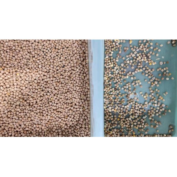 Latest Market Price CCD LED Chickpea Beans Color Sorter Popular in the USA