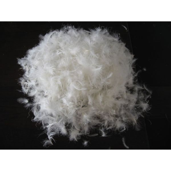 90% Down Cluster Dcuk Down