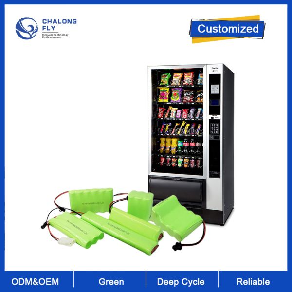 CLF LiFePO4 48V 30AH Lithium Ion Deep Cycle Battery 4700mAH Capacity for Vending Machines