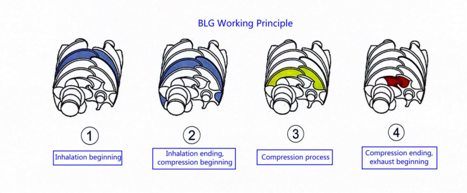 BLG210RA-III/BLG210RB-III High Pressure VFD Screw Type Blower With Permanent Magnet Motor