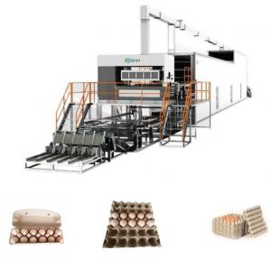 Quality 50Hz Pulp Paper Egg Tray Making Machine Pulp Container Manufacturing for sale
