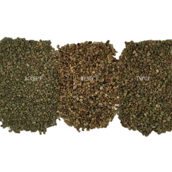 Optical Bean sorting machines CCD Six Chutes Bean Color Sorter