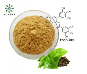 Quality Solvent Extraction 100% Food Additives Green Tea Extract Powder for sale