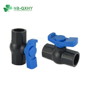 Quality Blue Plastic/PVC Handle BSPT Thread Ball Valve for Irrigation Customization Option for sale