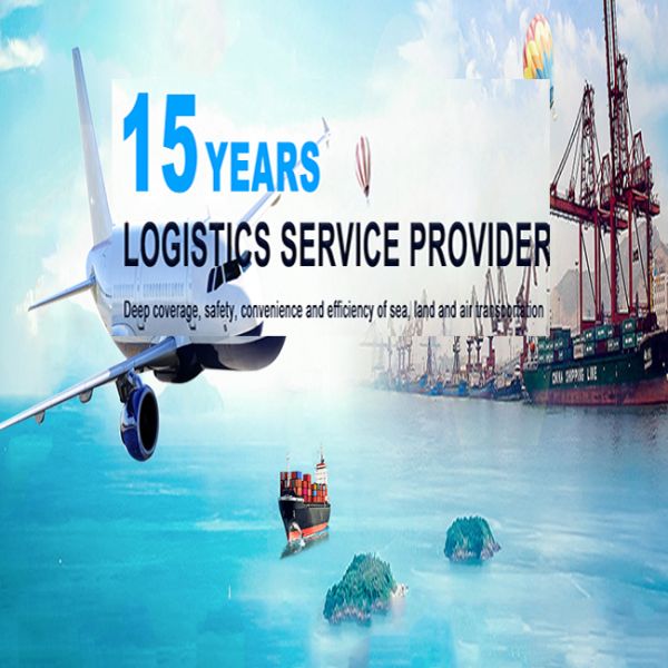 TNT UPS FDX EMS International Express Courier Service